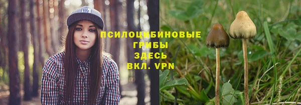 тгк Абинск
