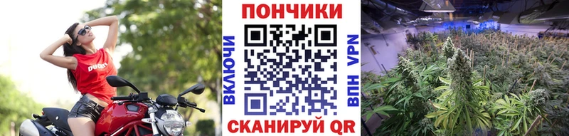 Марихуана конопля  Зарайск 